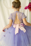 Nice Tutu Butterfly dress in Lilac